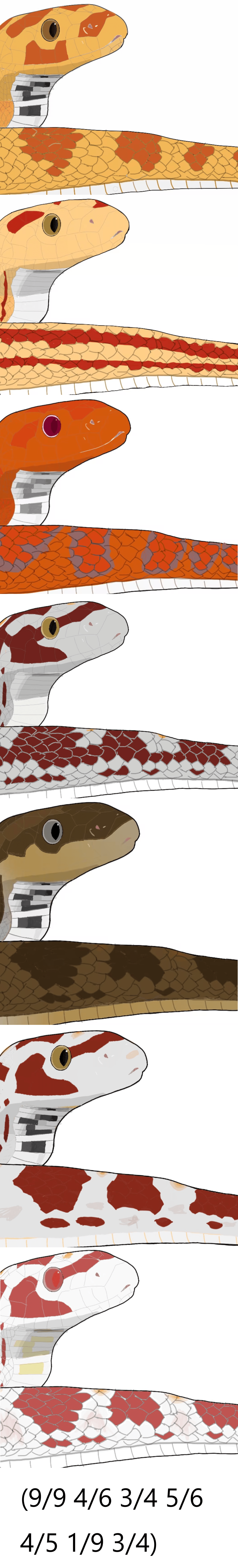 走亲戚